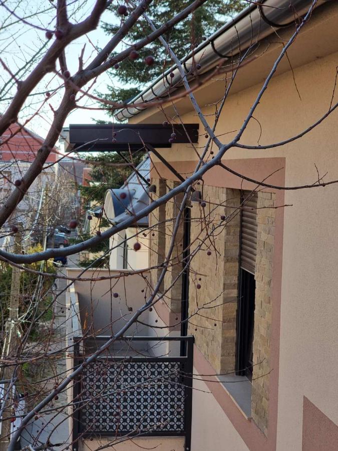 As Apartman 2 Vrsac Luaran gambar
